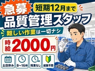 17699725